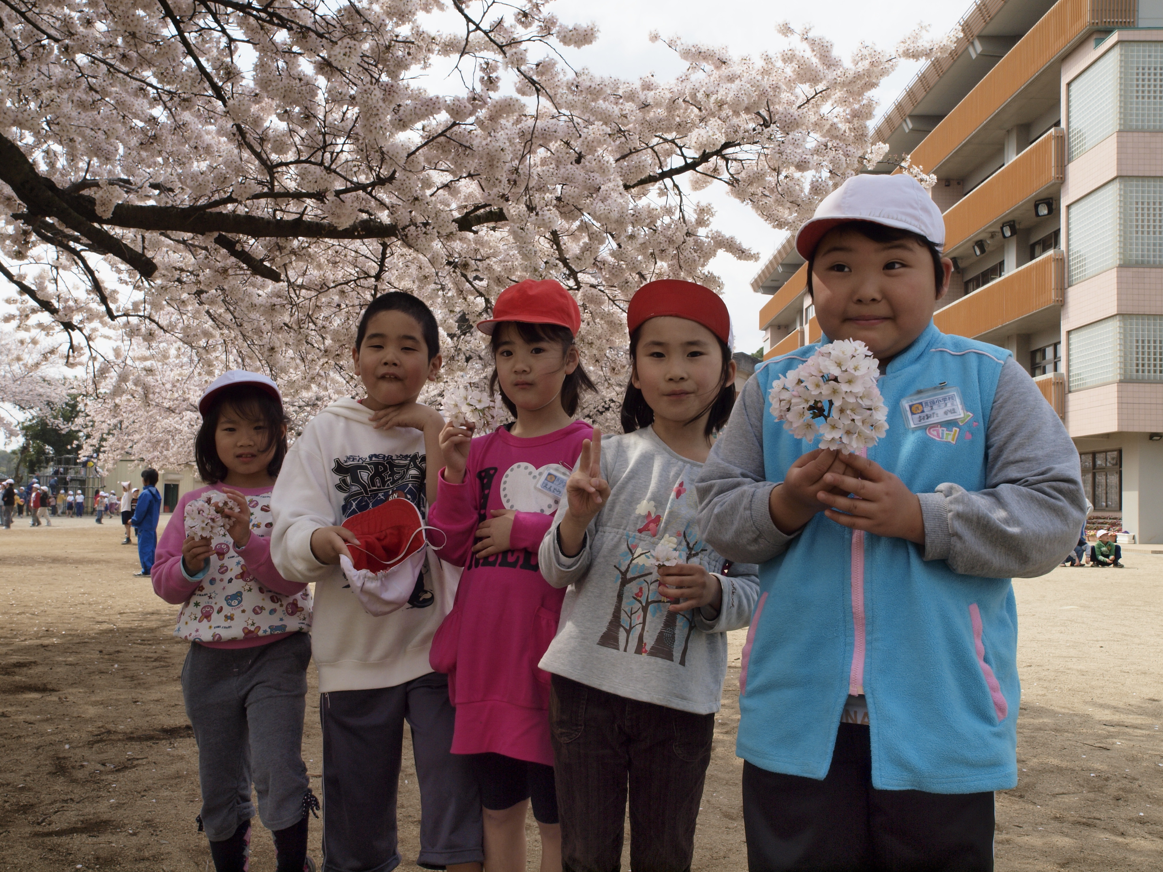 小学校 真鍋 土浦 市